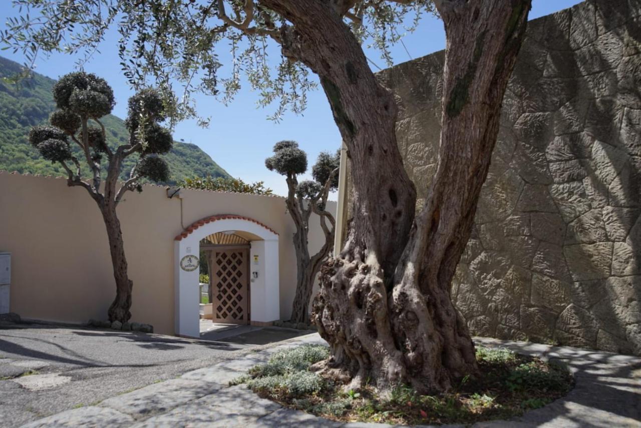 Villa Antonietta Isquia Exterior foto
